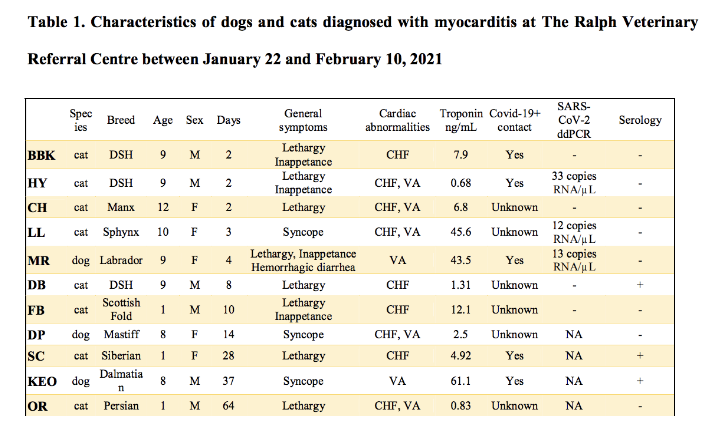 bioRxiv：科学家首次在猫狗中发现新冠病毒变异毒株B.1.1.7