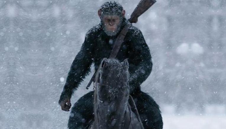 全球首个“人猴混合胚胎”诞生，引发担忧：潘多拉魔盒已被打开？