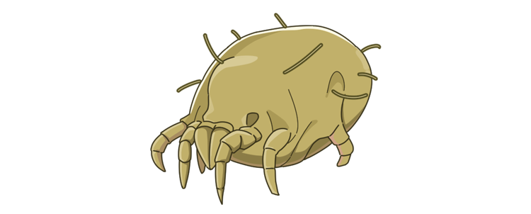 才明白,枕头原来不是枕“头”的!长期用错伤身体,你睡对了么?