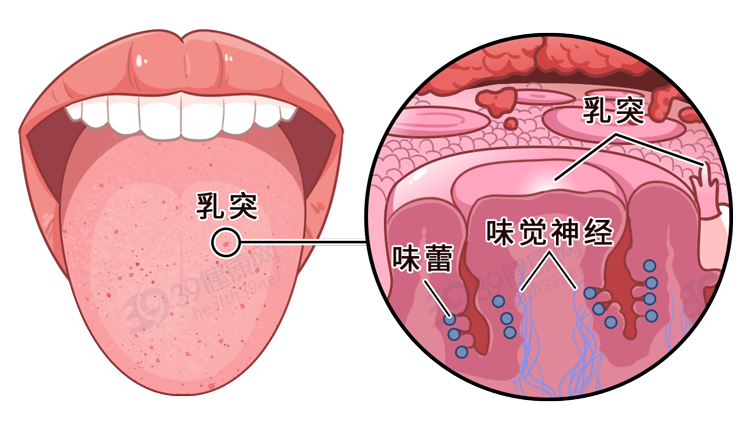 体内有病舌头先知舌头出现6种颜色或特征可能已经生病了