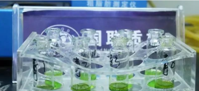 装菜的“塑料袋”放进冰箱,不但有毒还会致癌?一个实验揭晓真相
