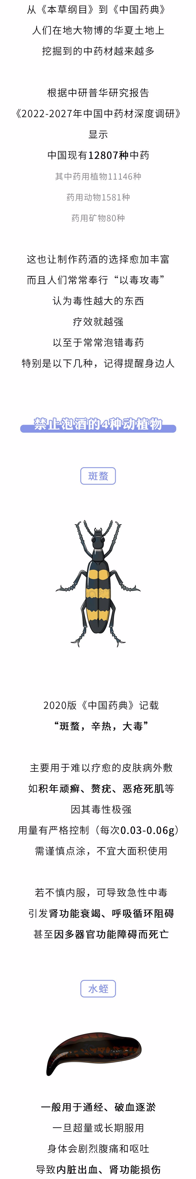 药酒变“毒酒”，一餐致15人肾衰竭，提醒：3类中药别用来泡酒