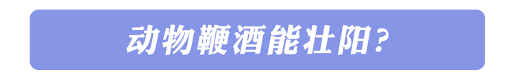 药酒变“毒酒”，一餐致15人肾衰竭，提醒：3类中药别用来泡酒