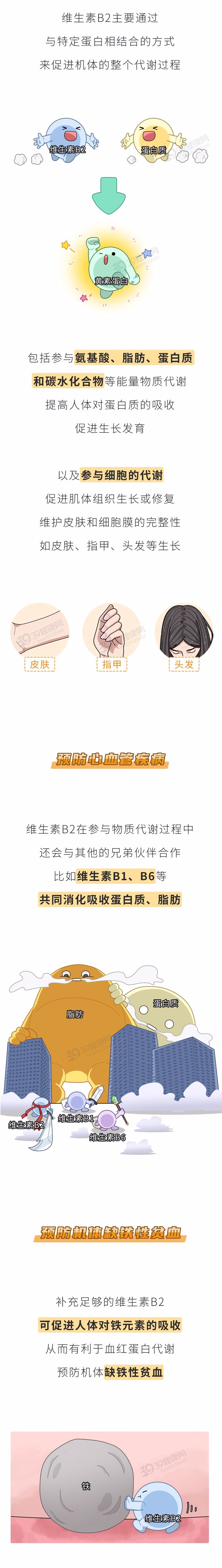 人体缺乏维生素B2,身体3个部位会慢慢“提醒”你,及时补充