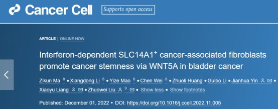 Cancer Cell发表！刘卓炜团队揭示膀胱癌干性和化疗抵抗新机制