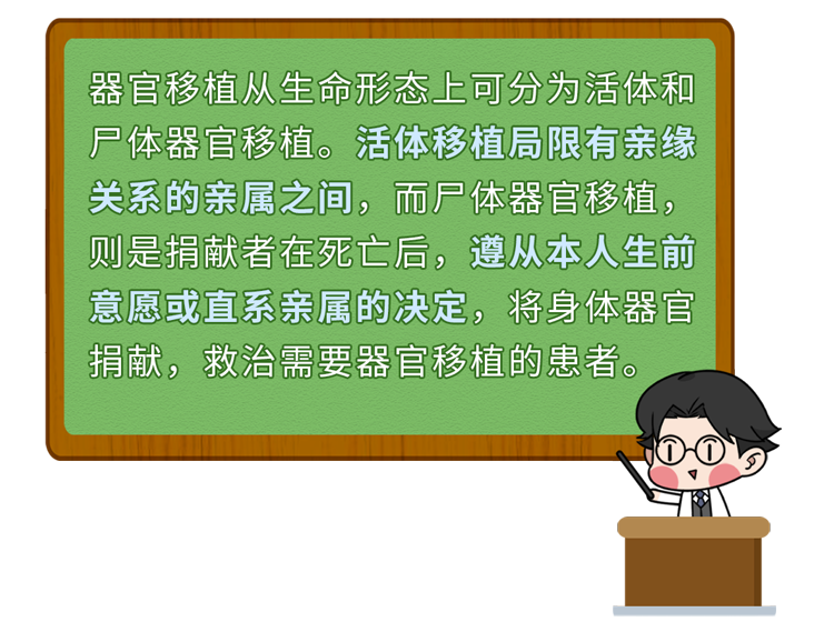 手术切掉的人体器官，最后流去了哪儿？为什么病人不能带走？