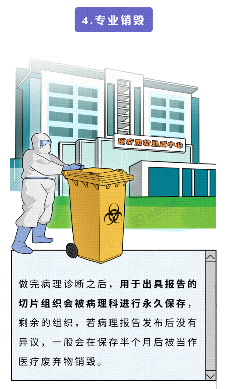 手术切掉的人体器官，最后流去了哪儿？为什么病人不能带走？
