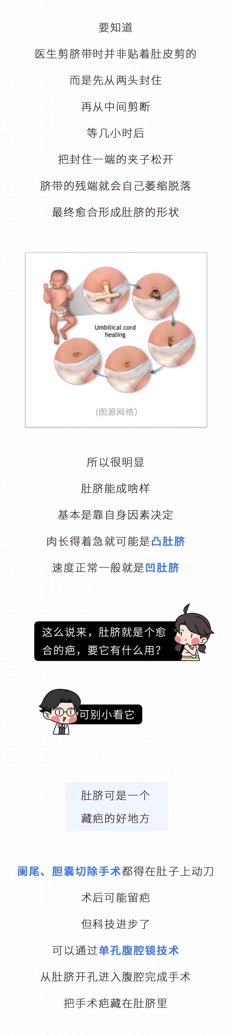 为什么不能乱抠肚脐眼？原来肚脐眼连的根本不是肠子！涨知识了