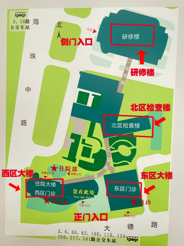 「广东省中医院」初次看病超全攻略:2分钟挂号预约,就医不迷路!