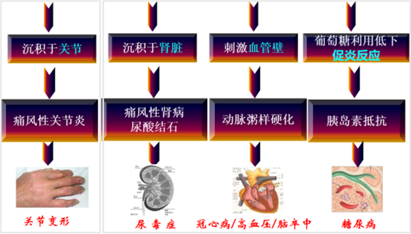 手足扭曲成“老姜”,“痛起来像游离的刀刃在关节里割”,这种病已经盯上年轻人