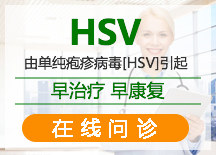 HSV病毒