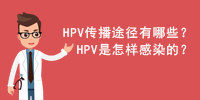 HPV传播途径有哪些？HPV是怎样感染的？