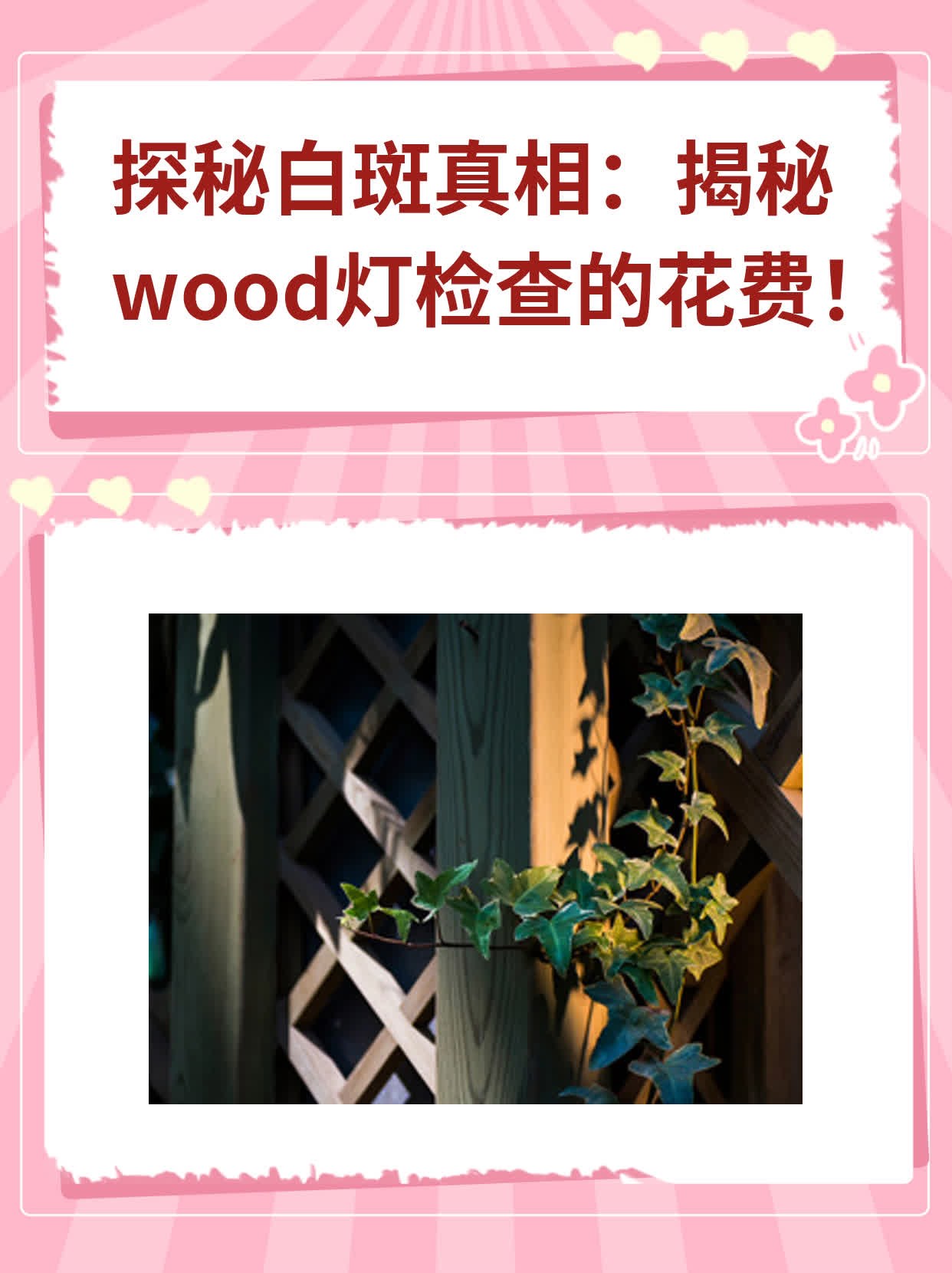探秘白斑真相：揭秘wood灯检查的花费！