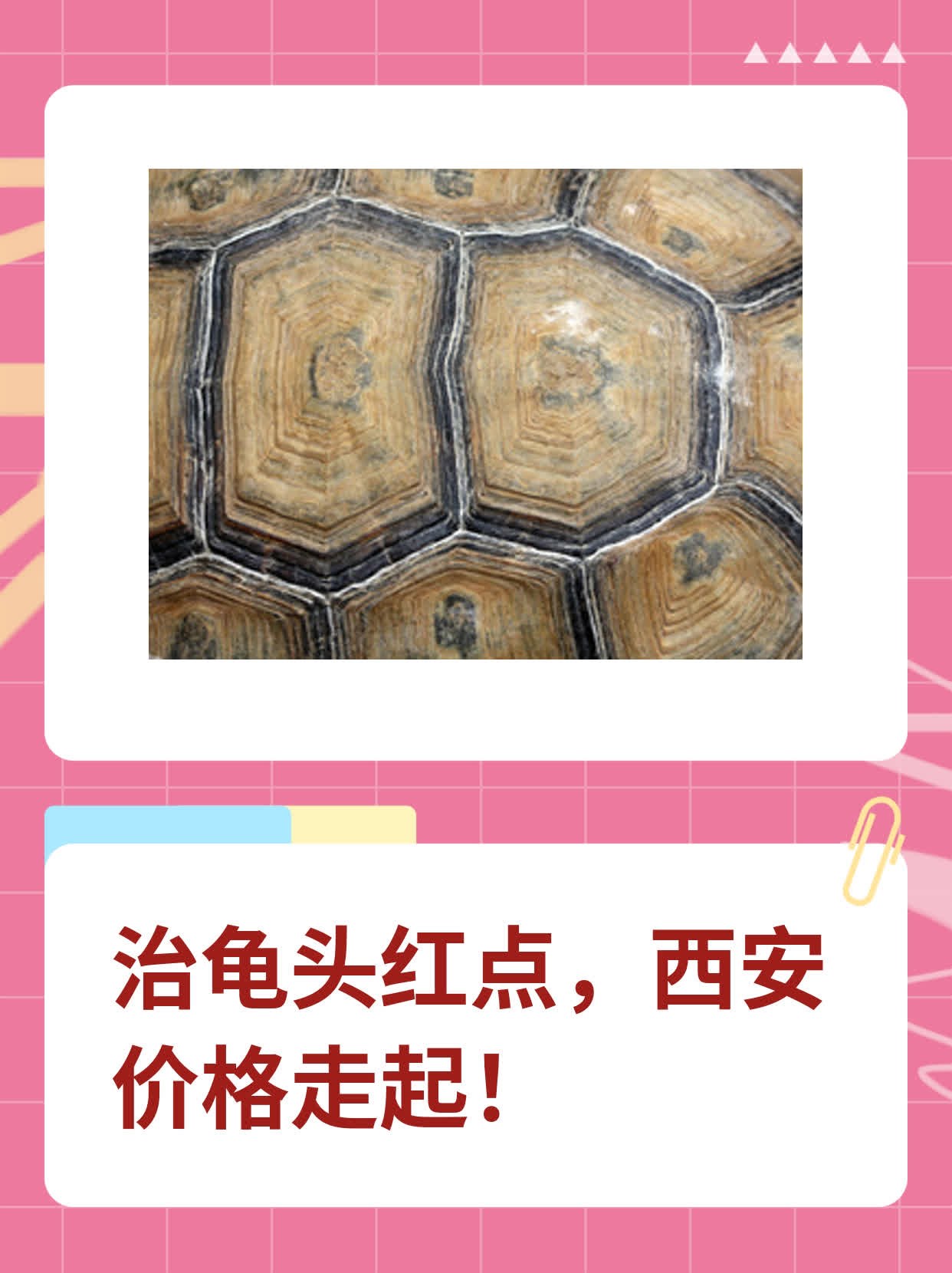🌟治龟头红点，西安价格走起！✨