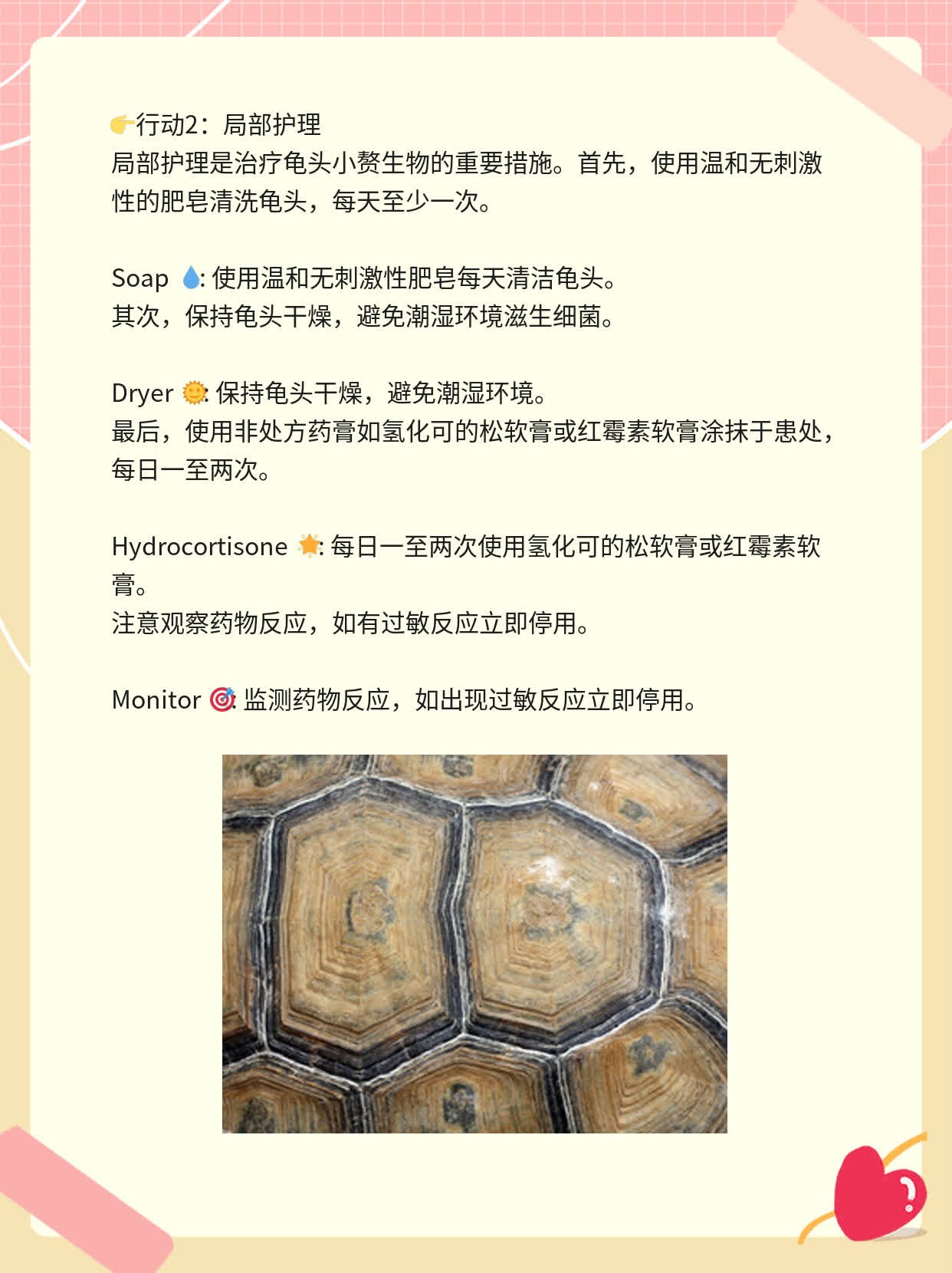 🛏️揭秘：龟头上长了芝麻大小的疙瘩？！💧