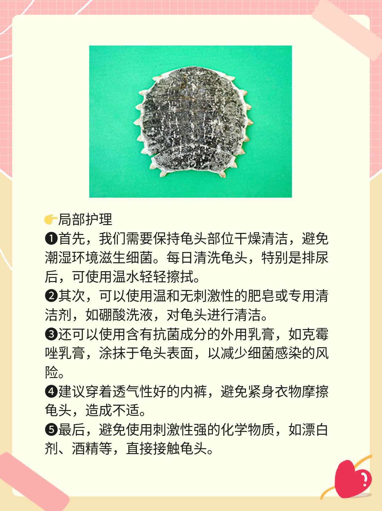 🌟龟头上长了几个小疙瘩，这里有解决办法！✨