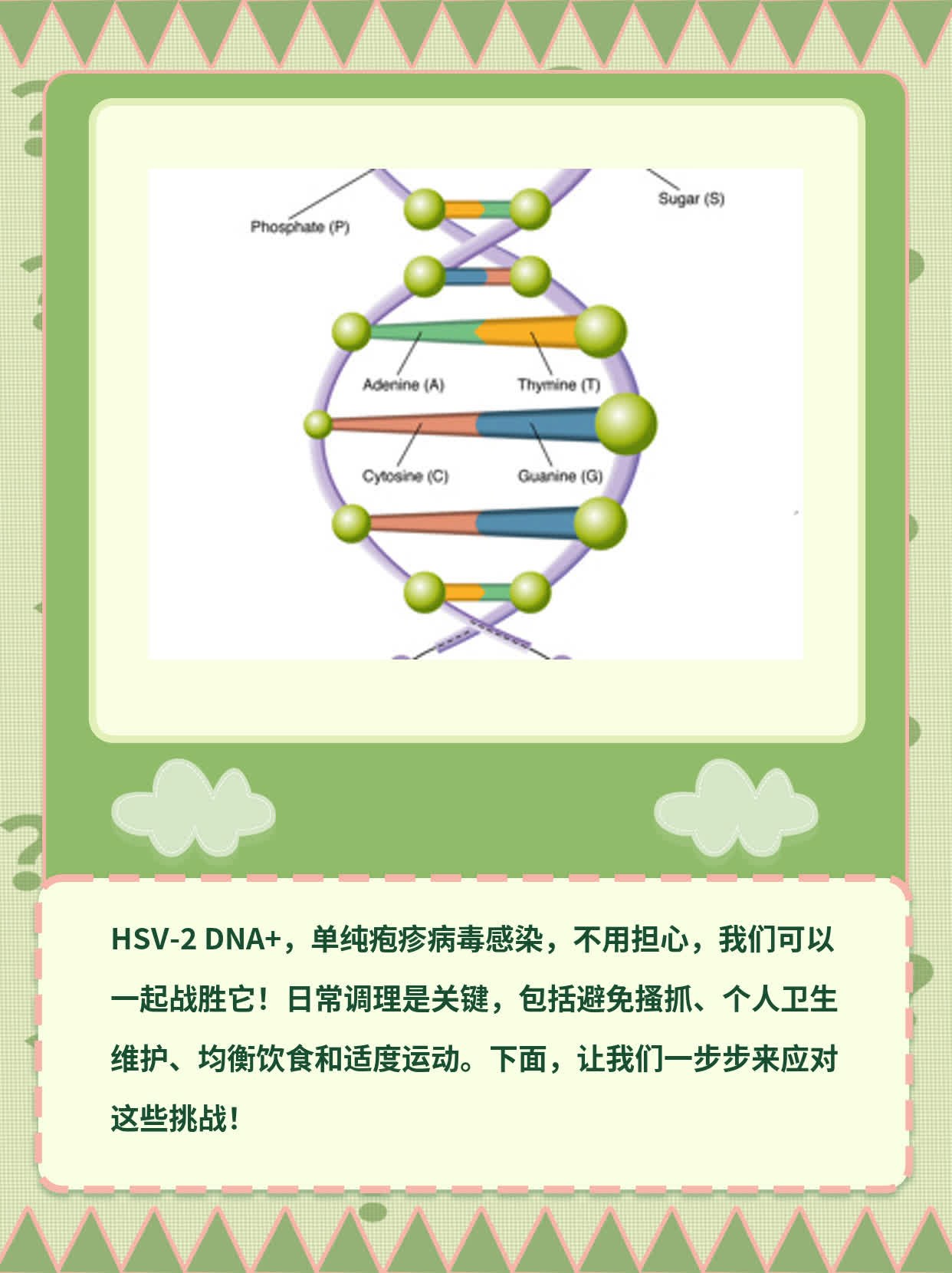 HSV-2 DNA+Ⱦľ