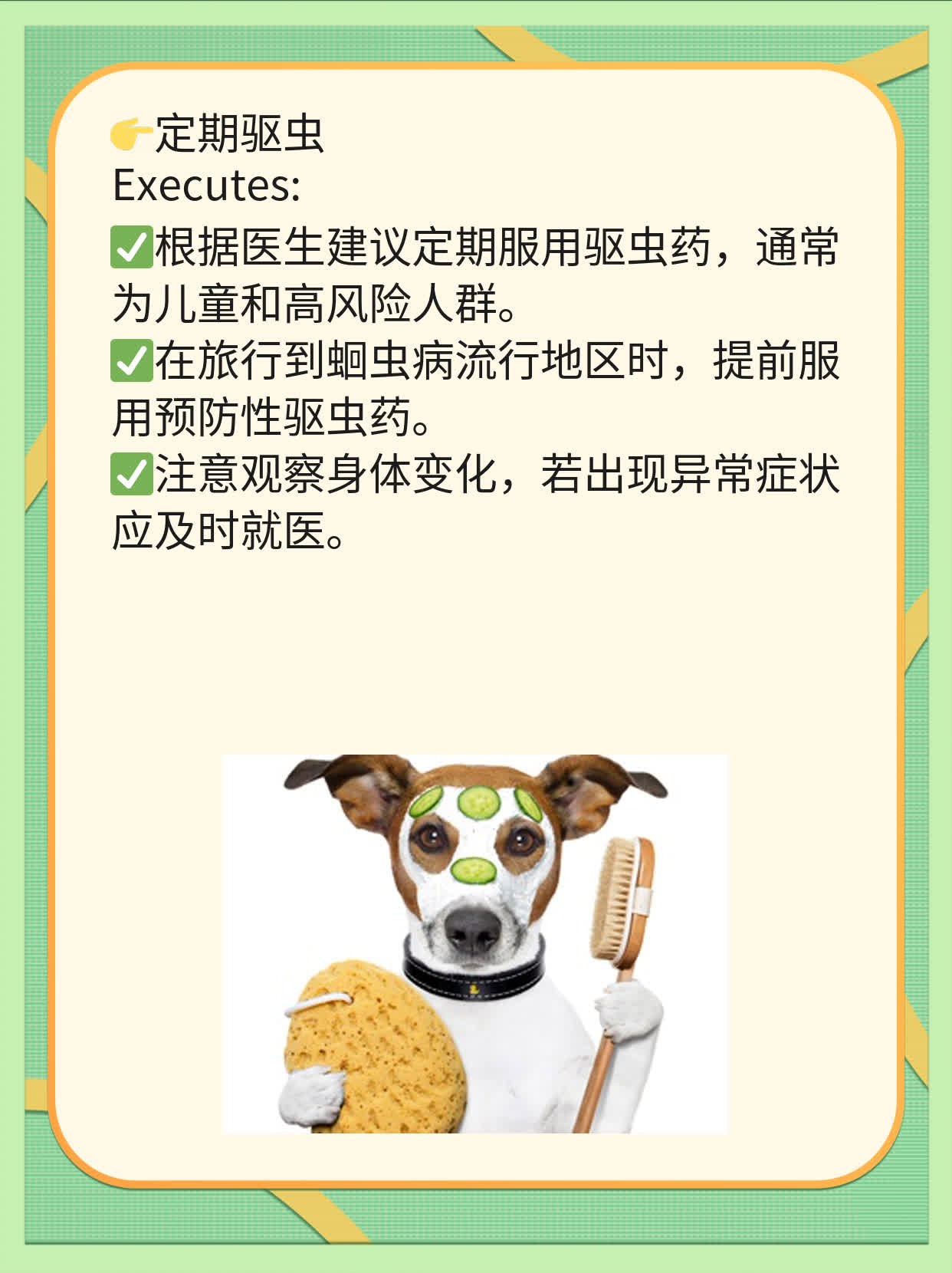 「防患于未然」：预防蛔虫病的秘诀