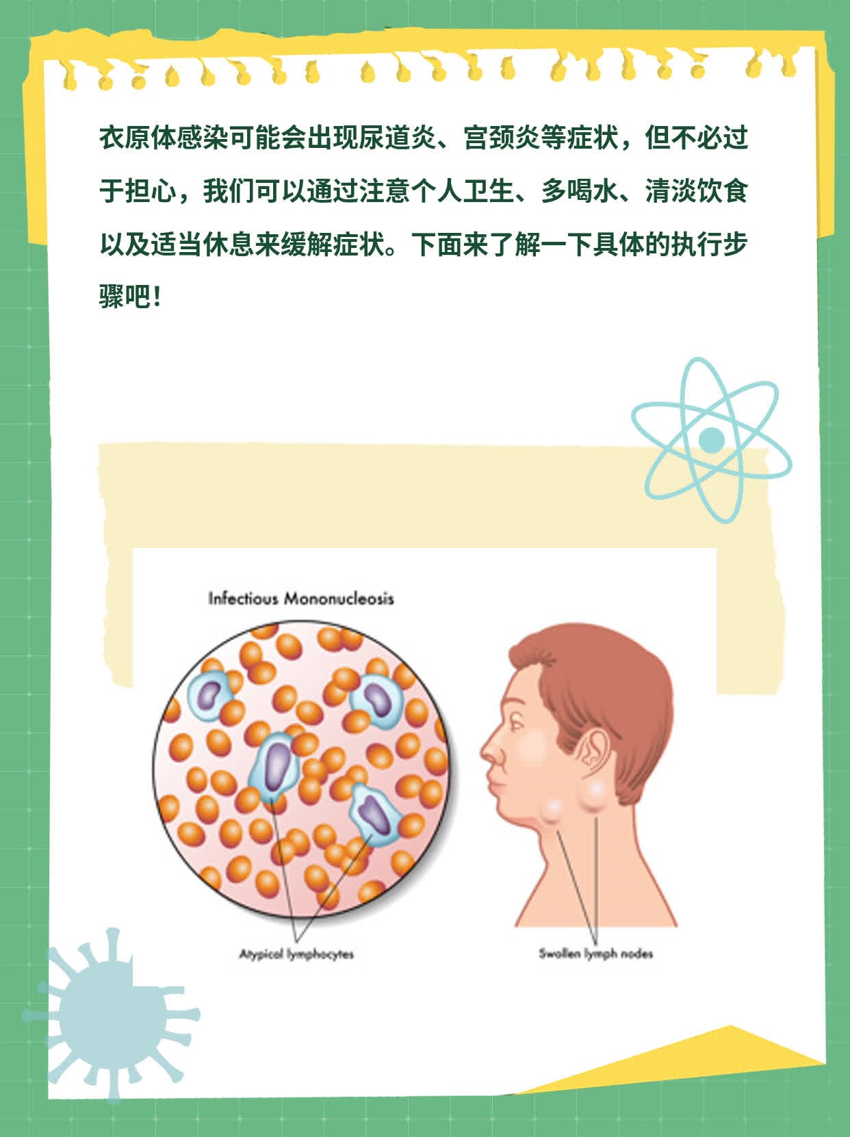 揭秘衣原体感染的症状表现！