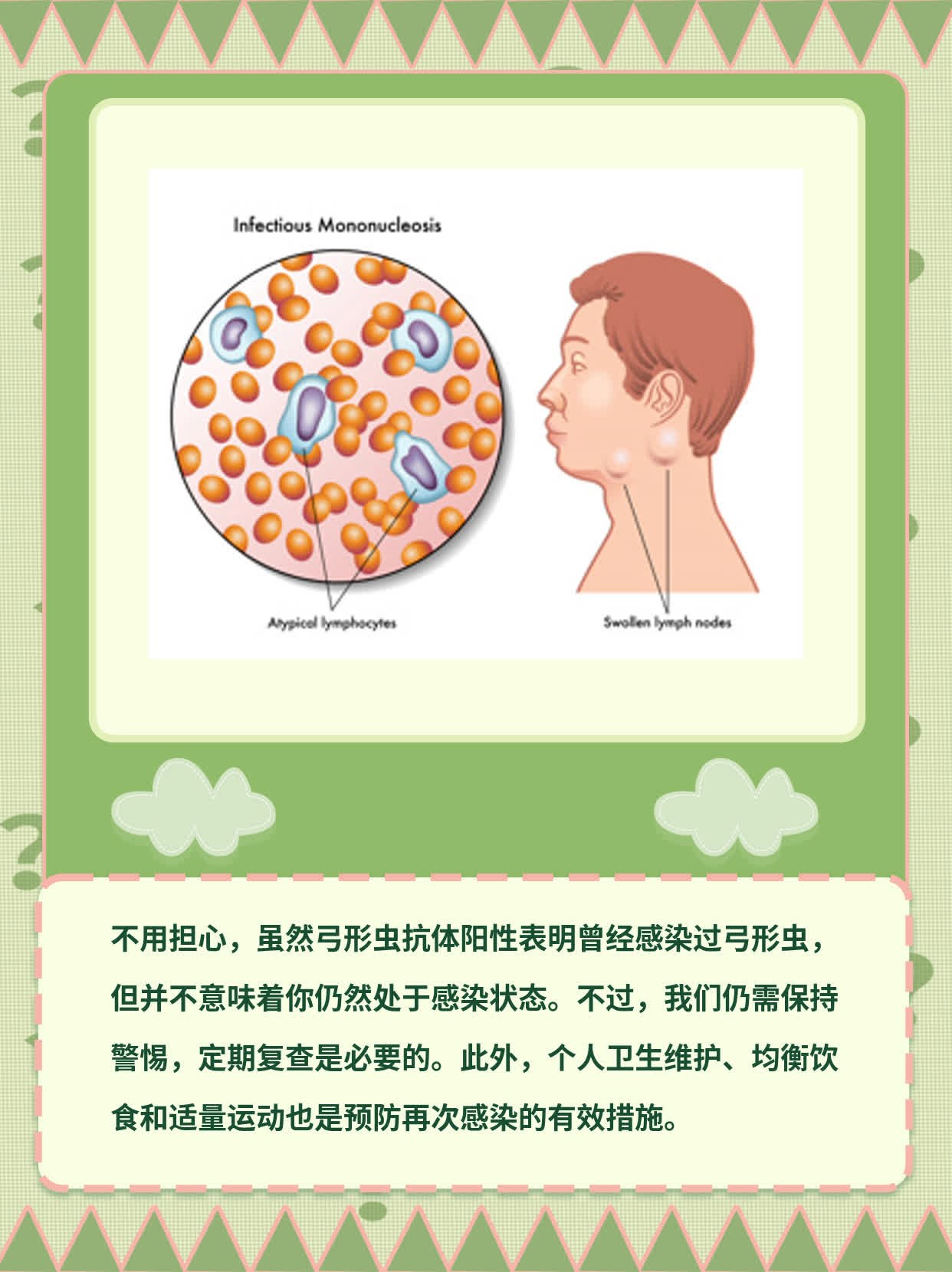 弓形虫抗体阳性还怕感染？经验分享！