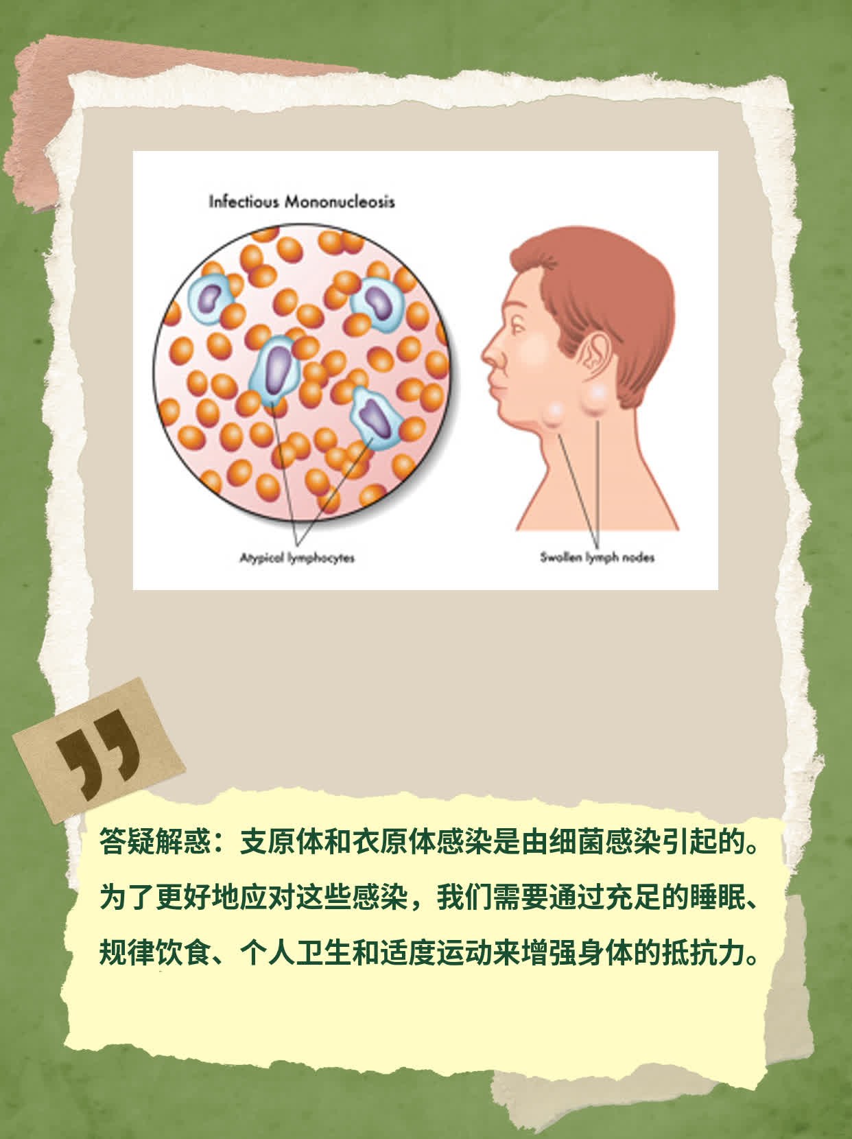 揭秘：支原体和衣原体感染诱因探析