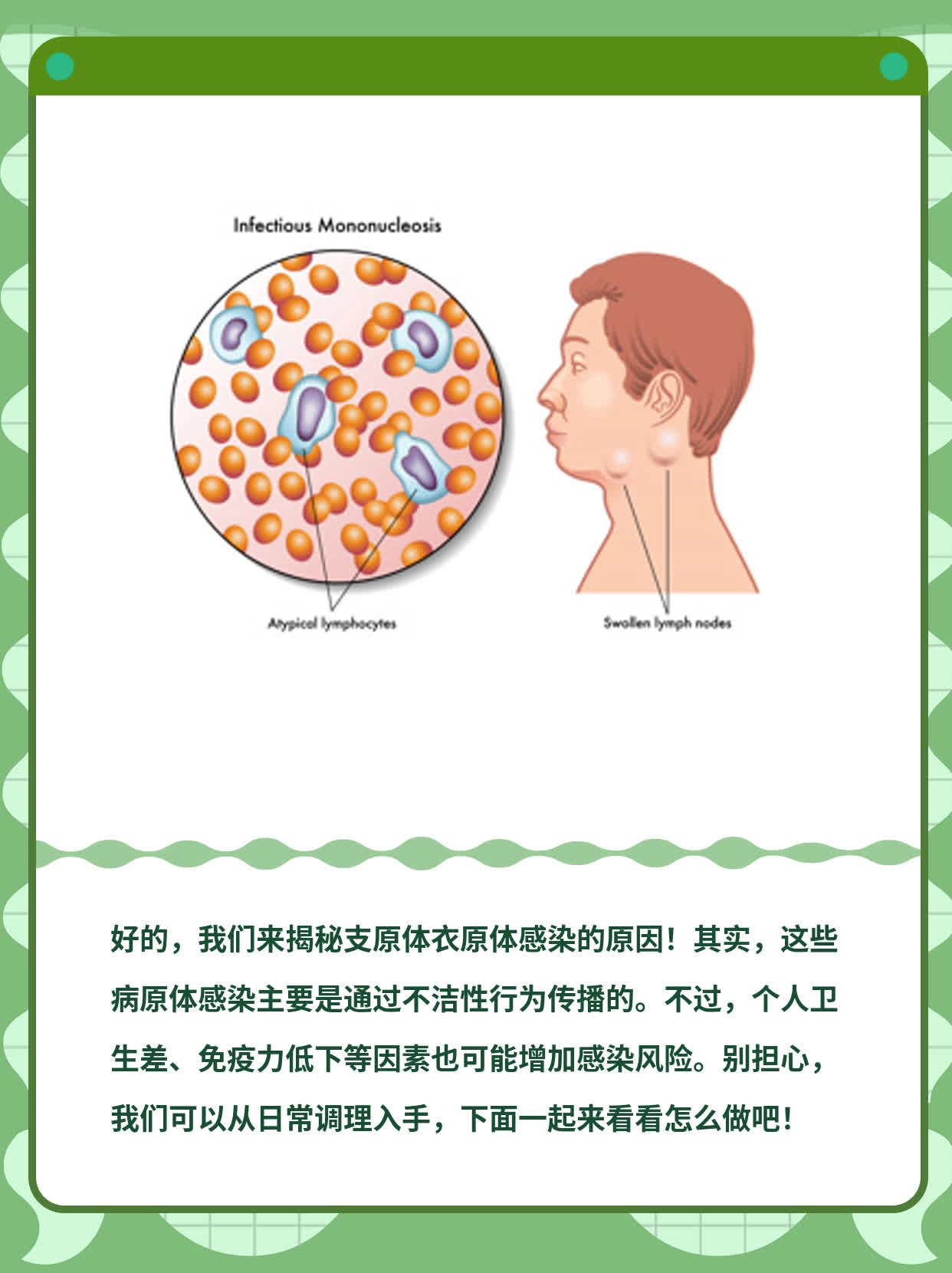 揭秘支原体衣原体感染原因！经验分享