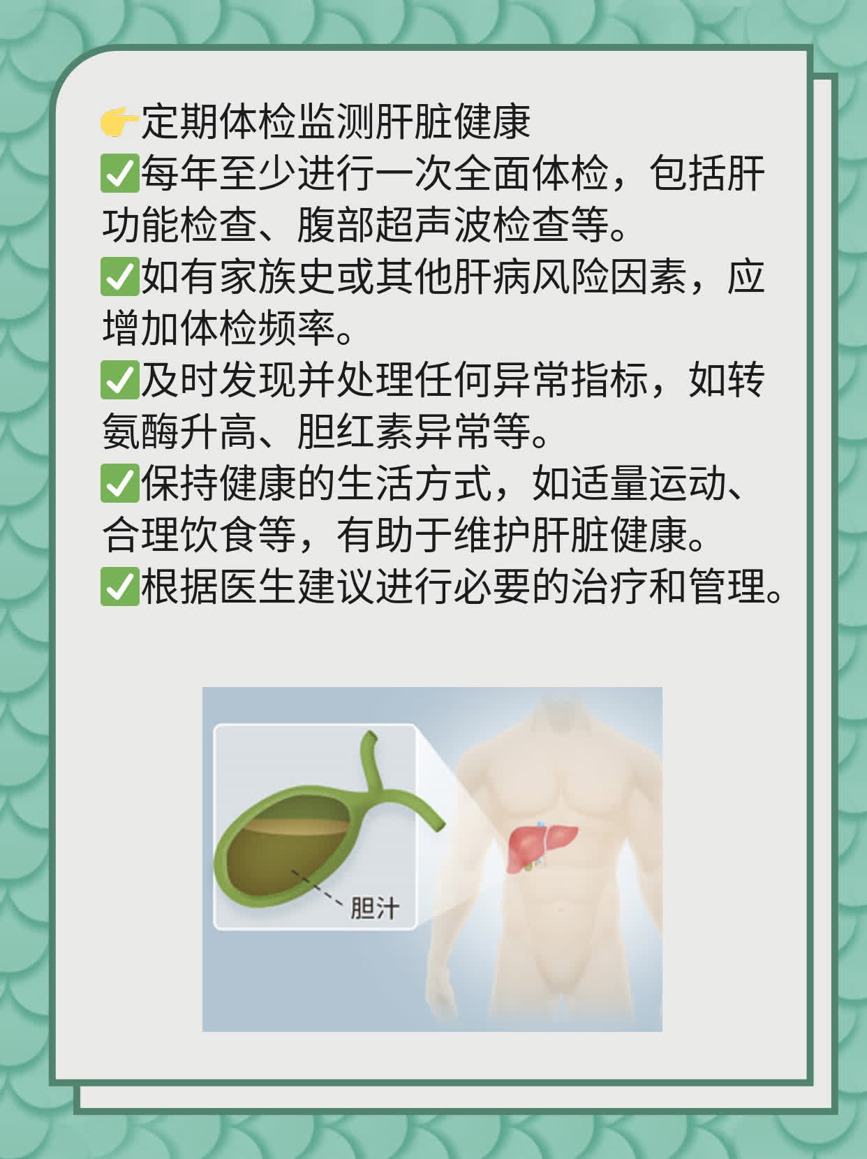 「揭秘肝脏代谢」：探秘肝脏代谢功能全貌！