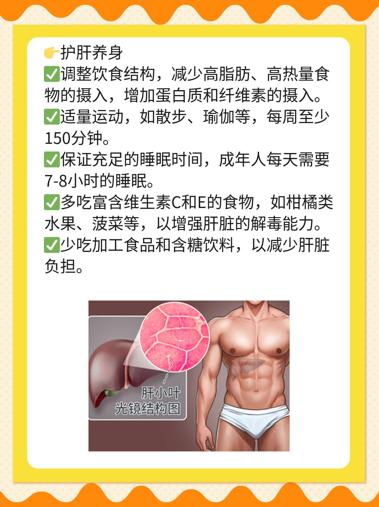 「揭秘肝脏」：探索肝脏的神秘生理学功能！