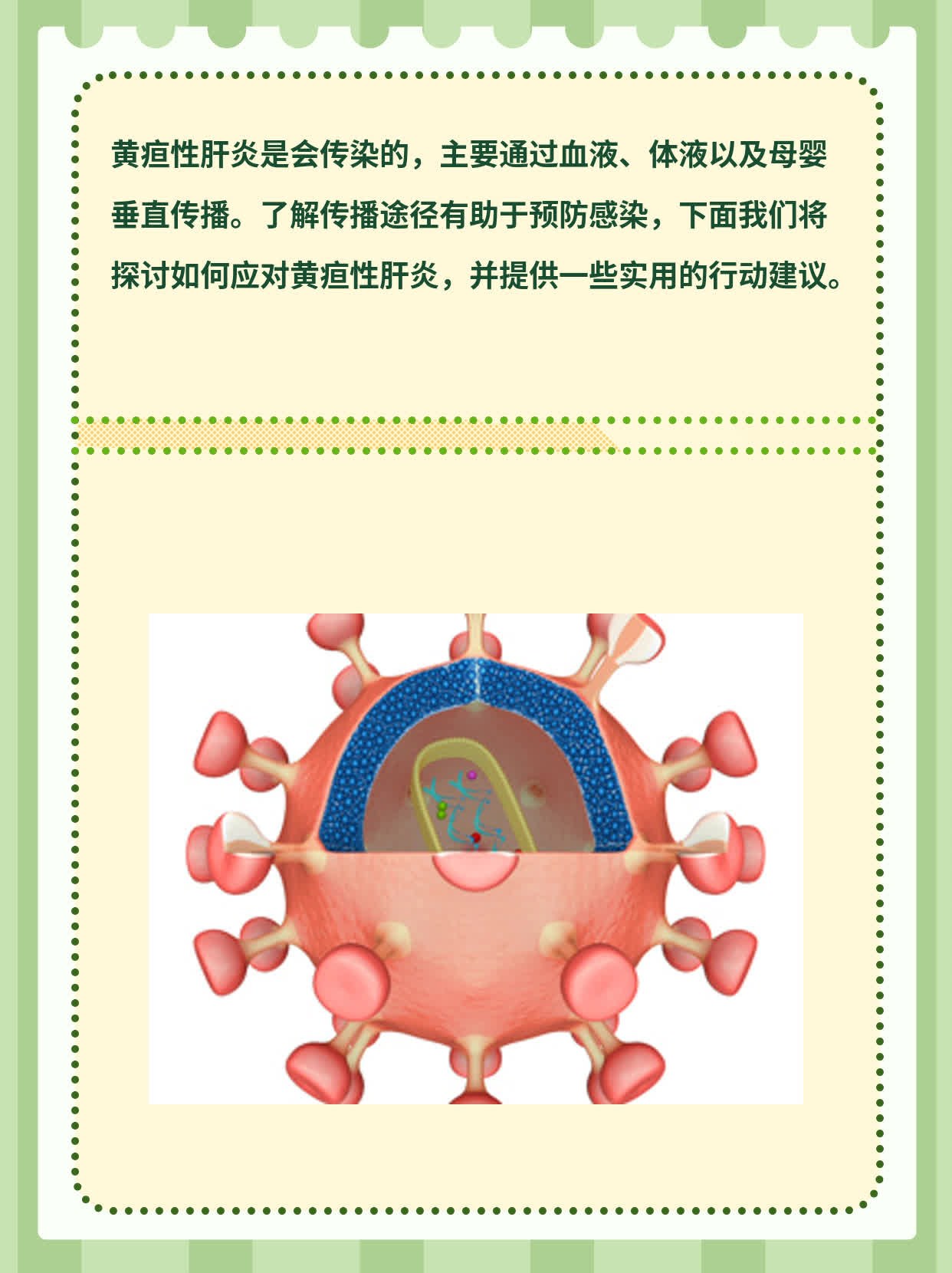 黄疸性肝炎是否会传染及传播途径解析