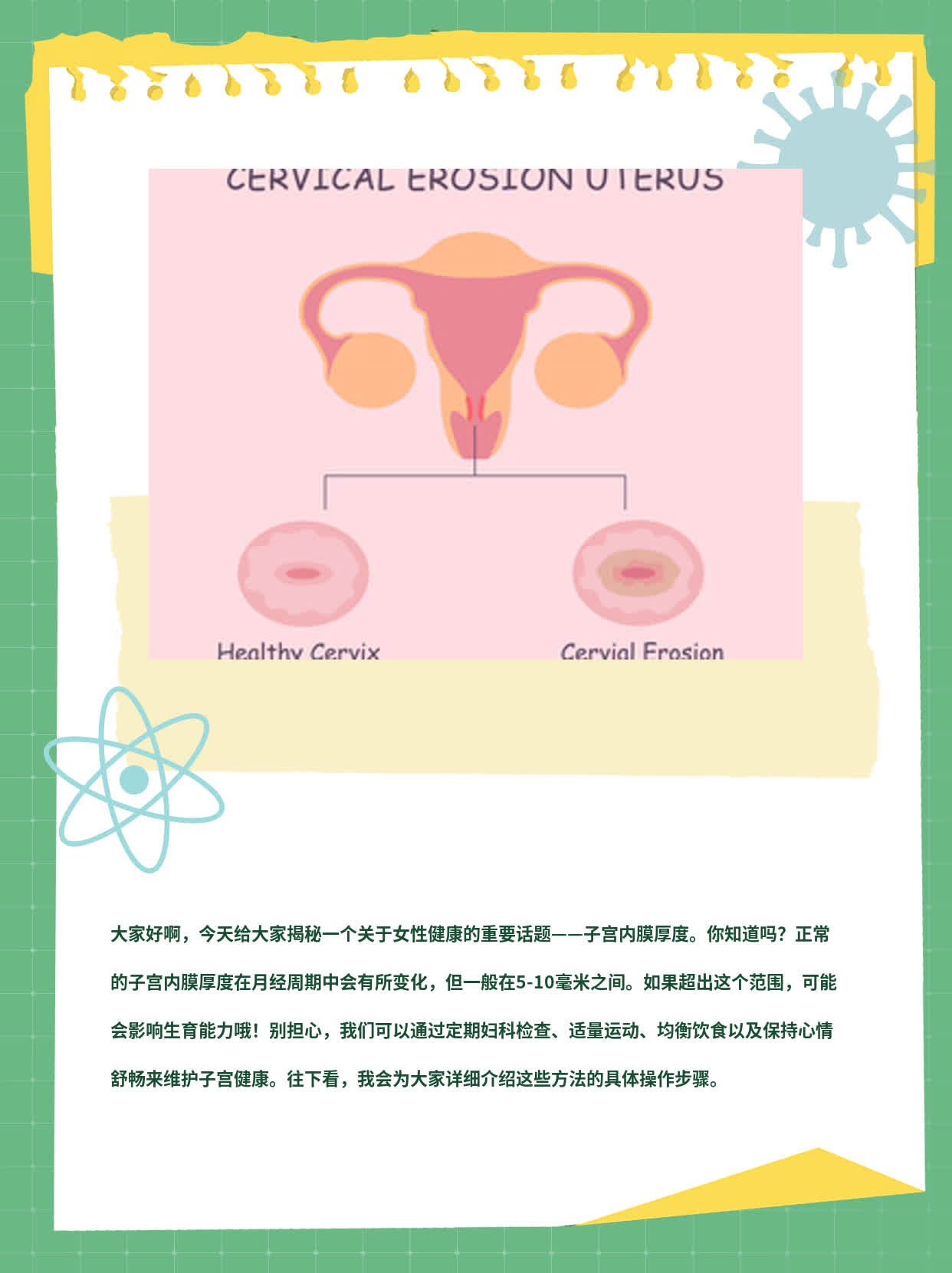 「揭秘」子宫内膜厚度：正常值及影响因素！