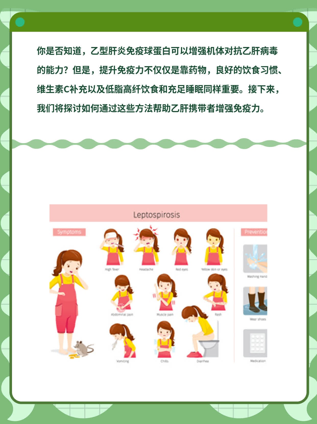 乙肝携带者必看：了解免疫球蛋白的作用与意义