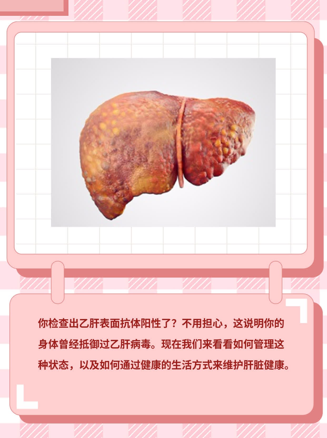 乙肝表面抗体阳性？来了解它的意义！