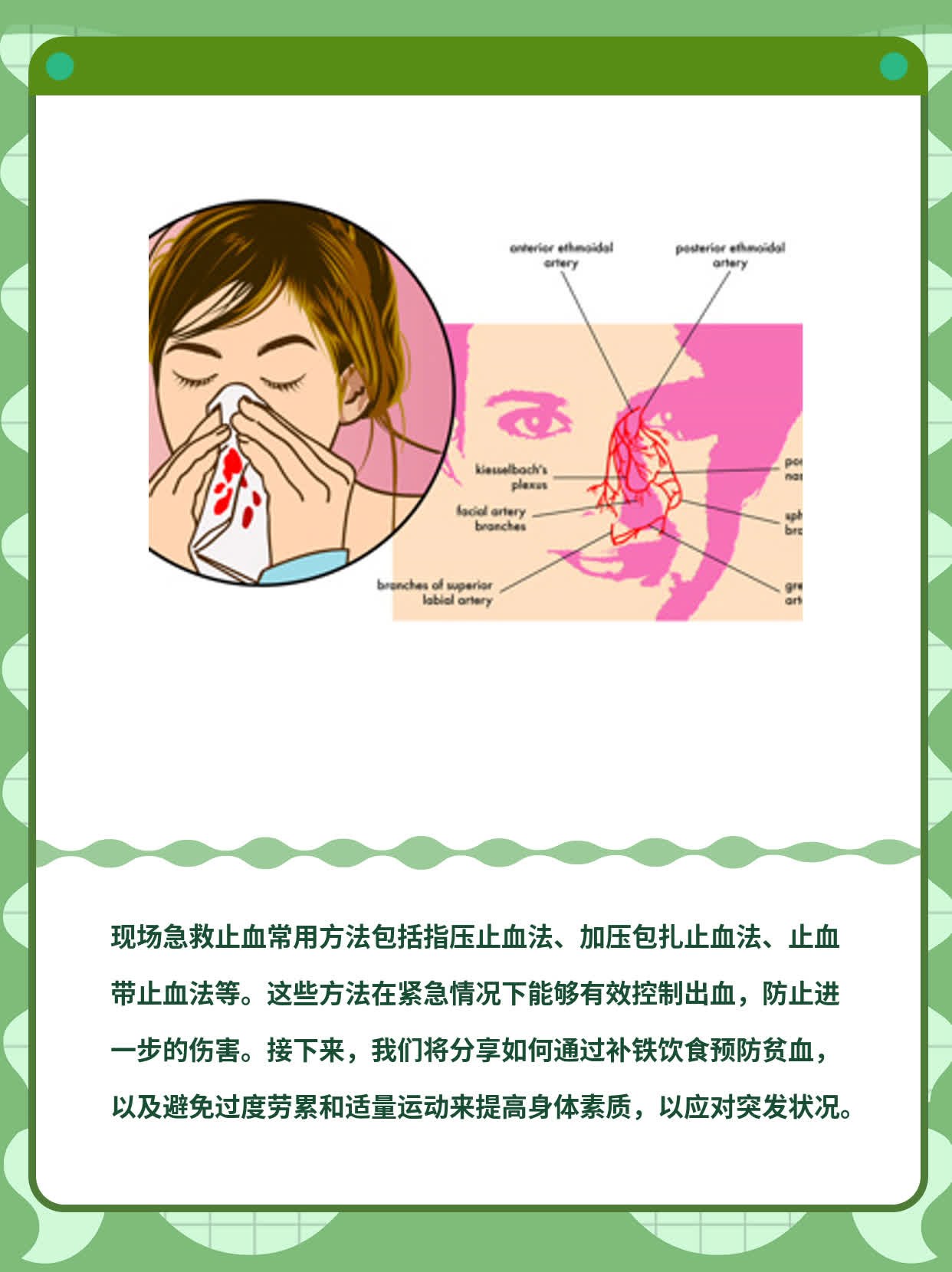 「现场急救止血」经验分享：常用方法一览！