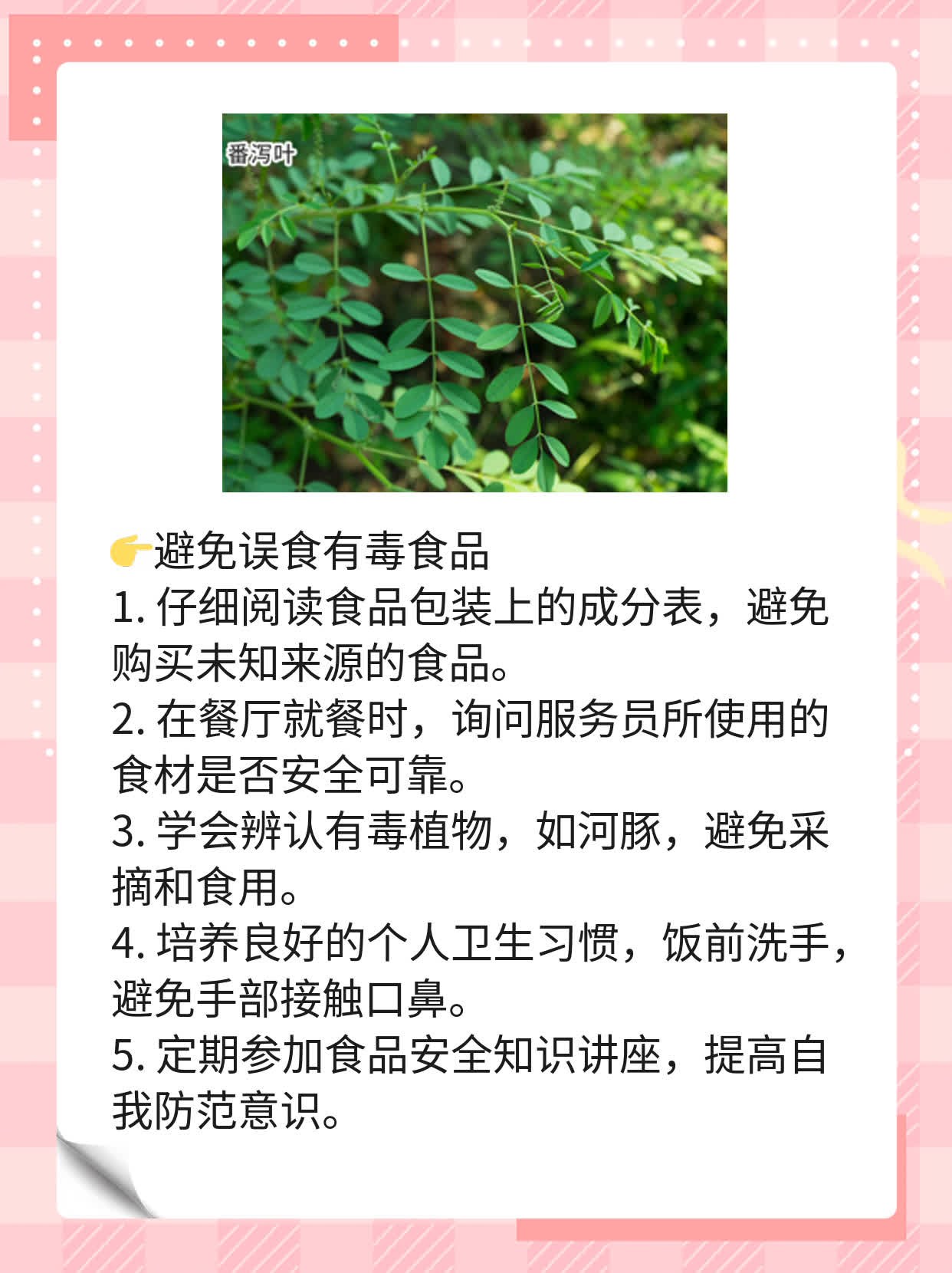 「河豚中毒」：症状探秘