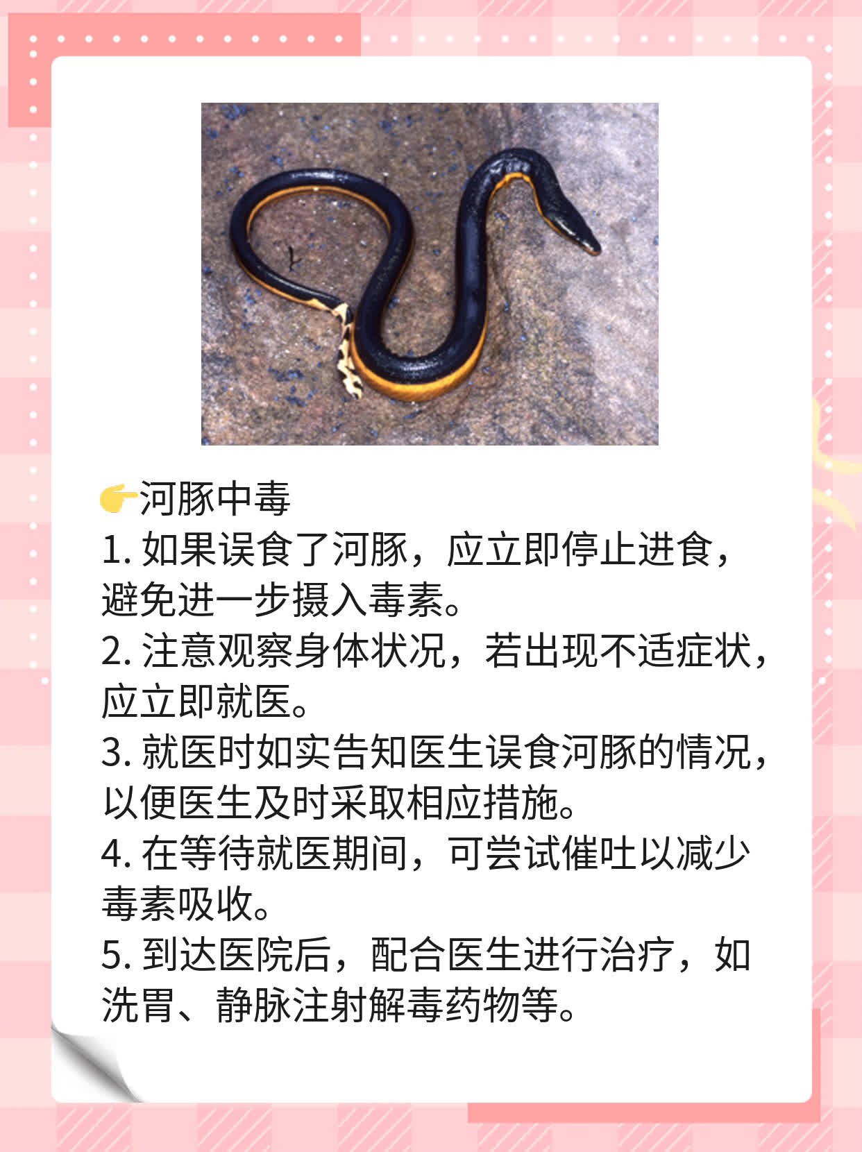 「河豚中毒」：症状探秘