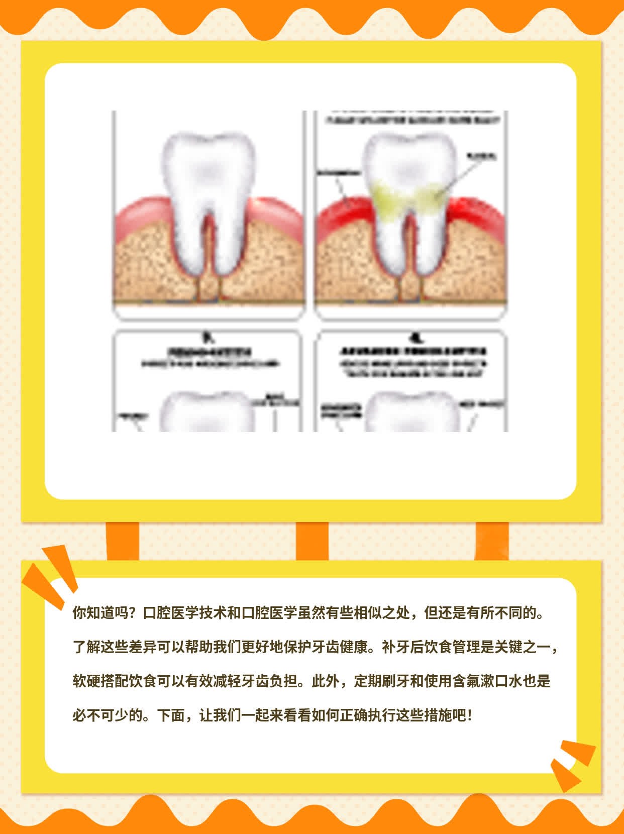 「你知道吗？」口腔医学技术与口腔医学有何不同？