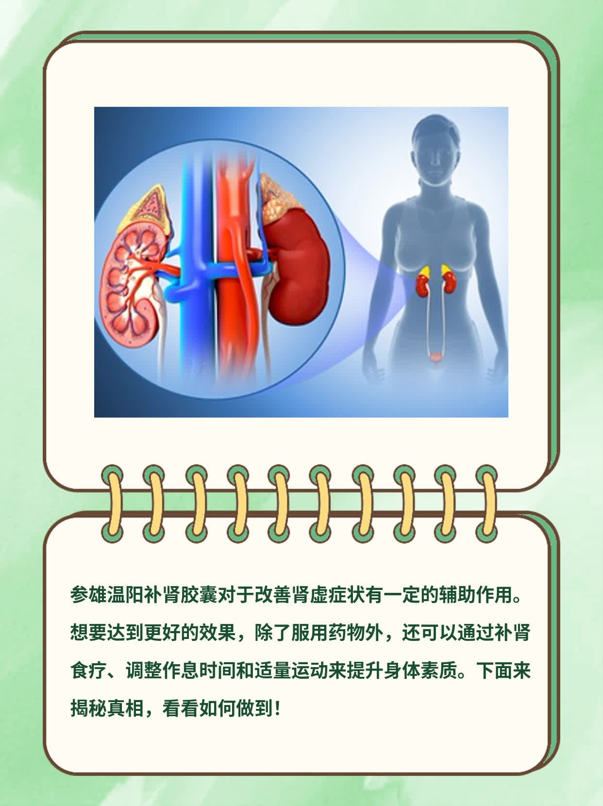 「参雄温阳补肾胶囊」效果揭秘：真相大白！