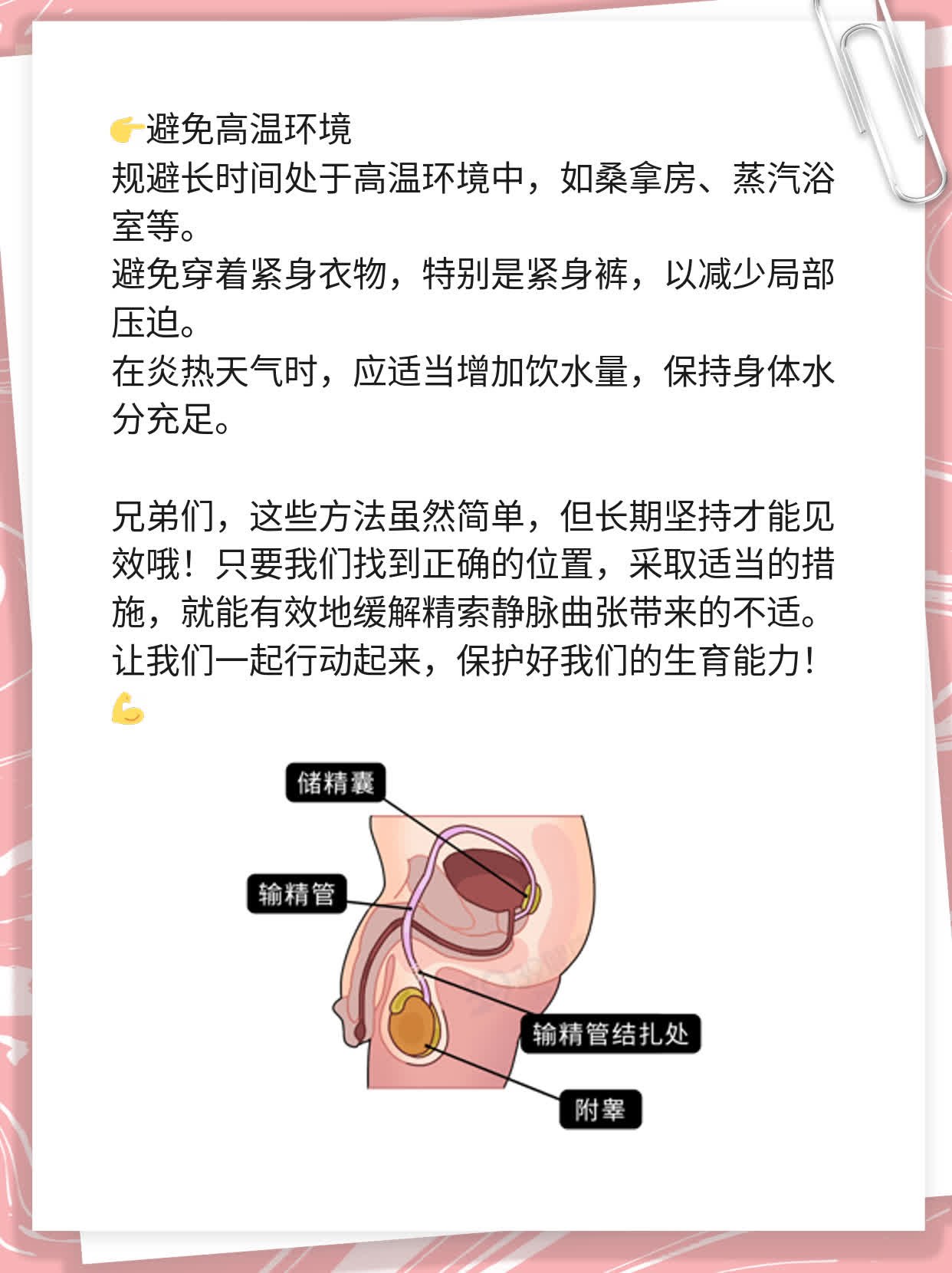 # 找准位置！辨析精索静脉曲张在睾丸还是阴囊