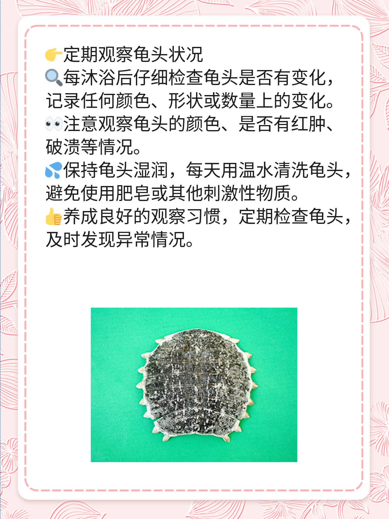 揭秘：男人龟头上出现小颗粒的原因及处理方法！