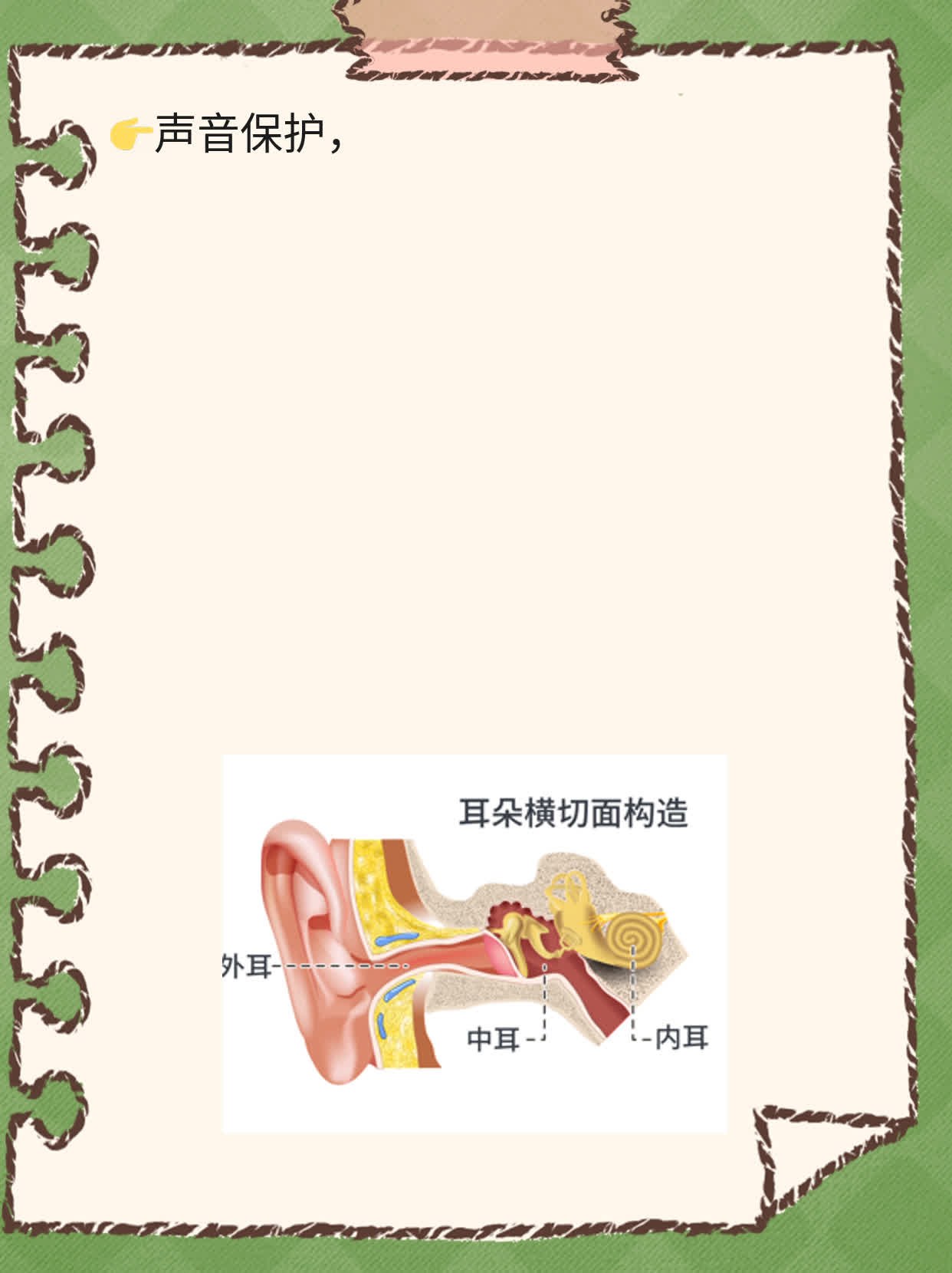 甲状腺左侧叶结节3类：诊断与处理策略