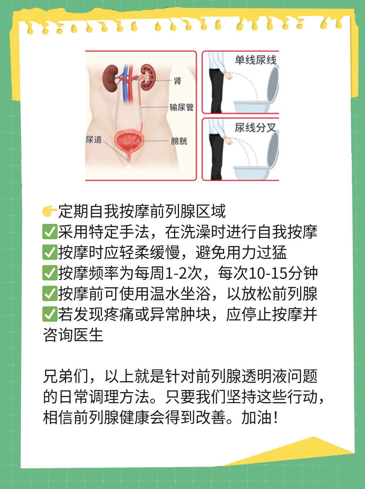 「揭秘」前列腺透明液啥玩意？