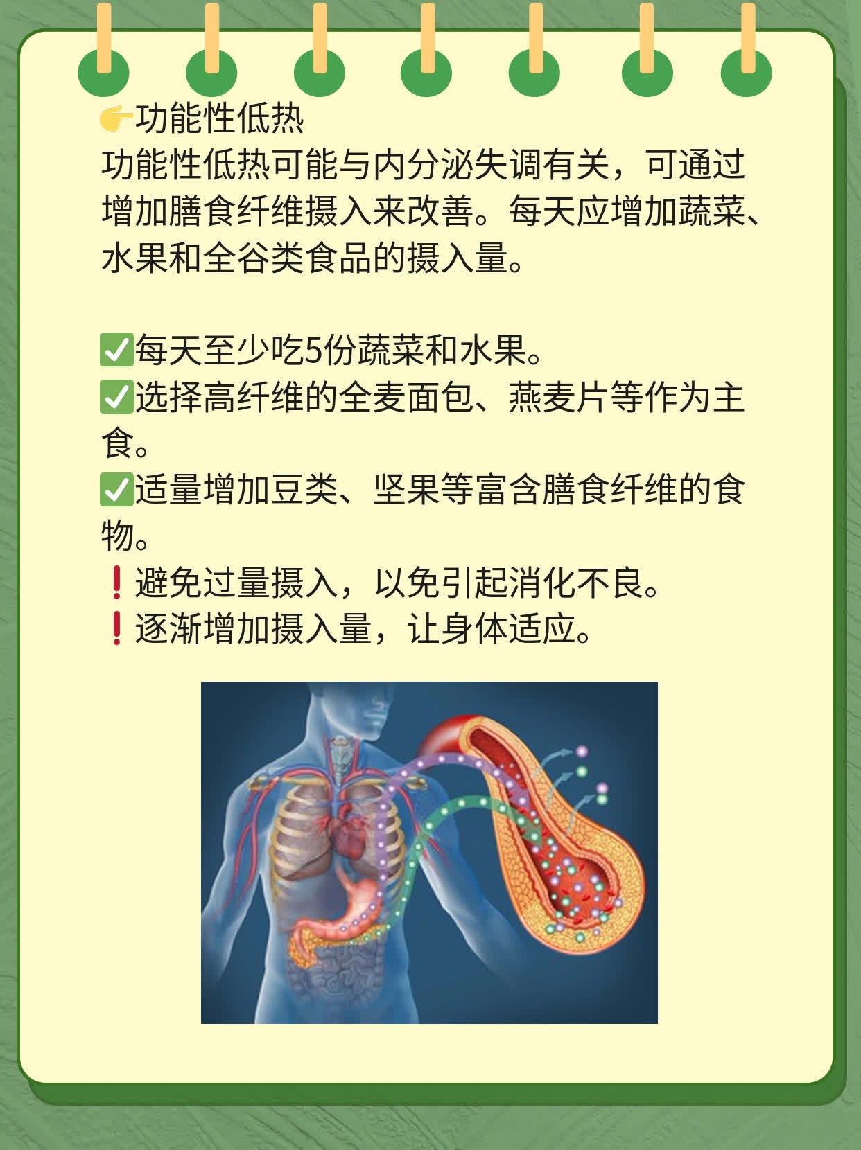 「揭秘」男人内分泌紊乱的“小秘密