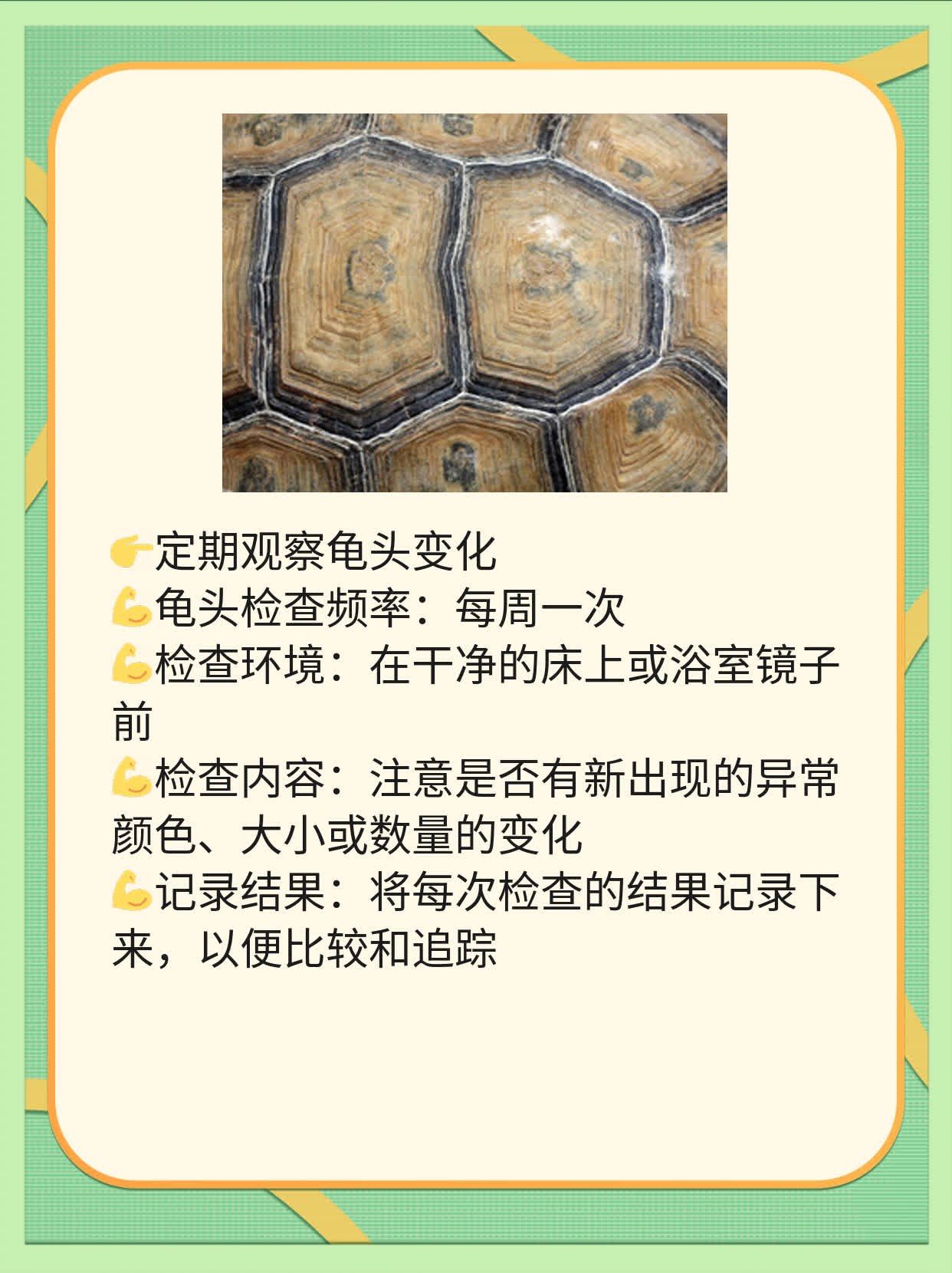 辨认阴茎小疙瘩：珍珠状阴茎丘疹&包皮症状图解