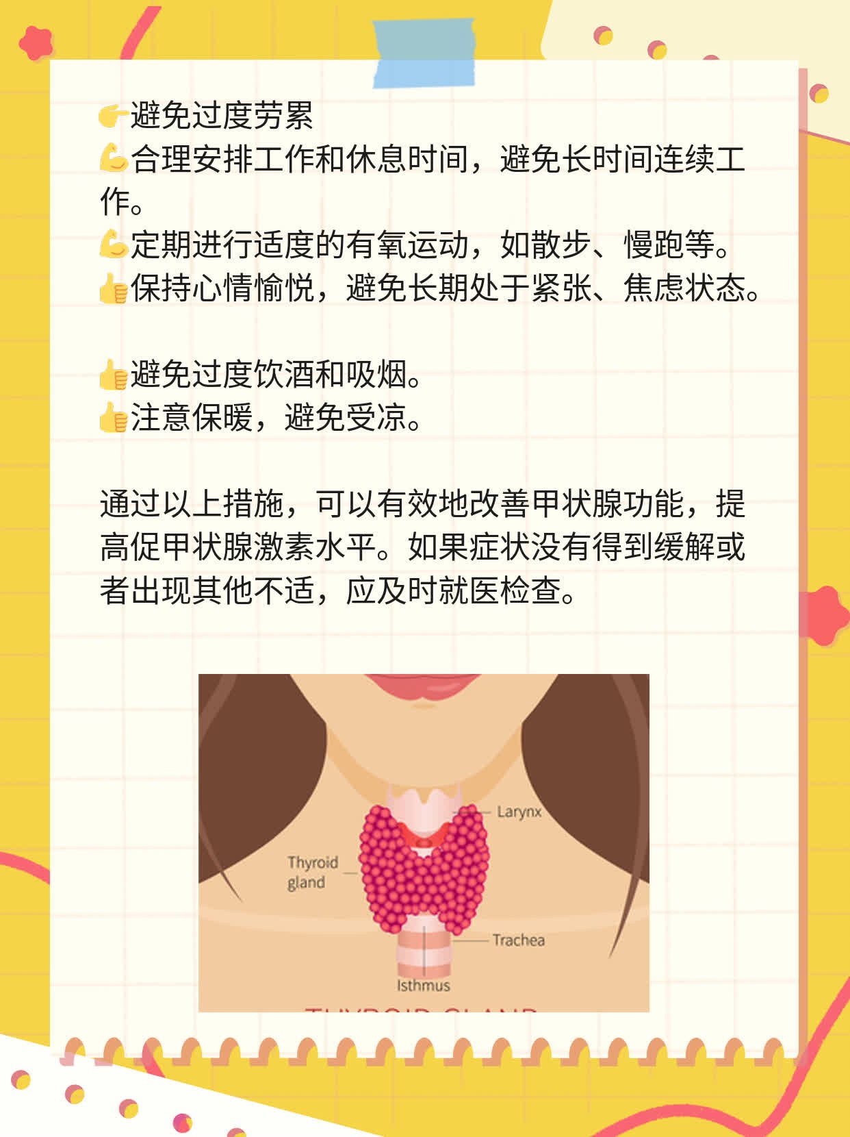促甲状腺激素偏低的原因探秘