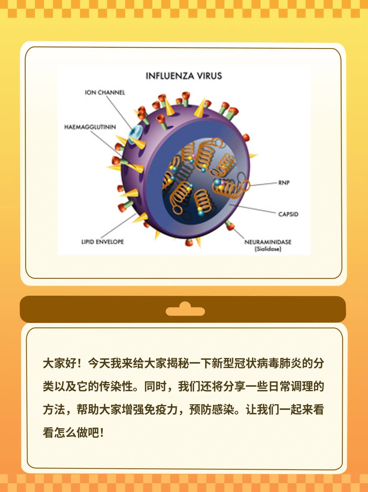 揭秘：新型冠状病毒肺炎的分类及传染性探析
