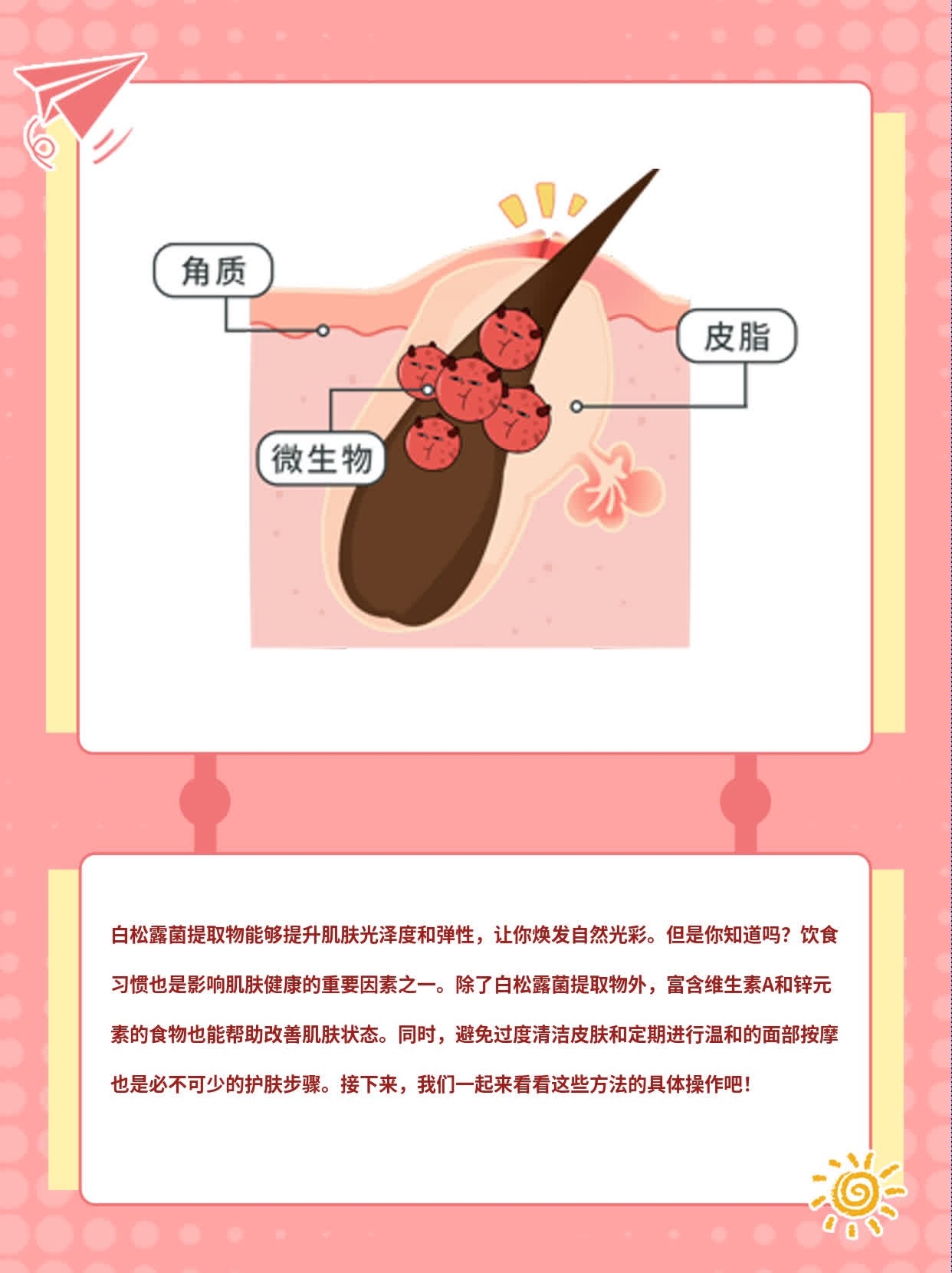 「揭秘」白松露菌提取物如何改善肌肤