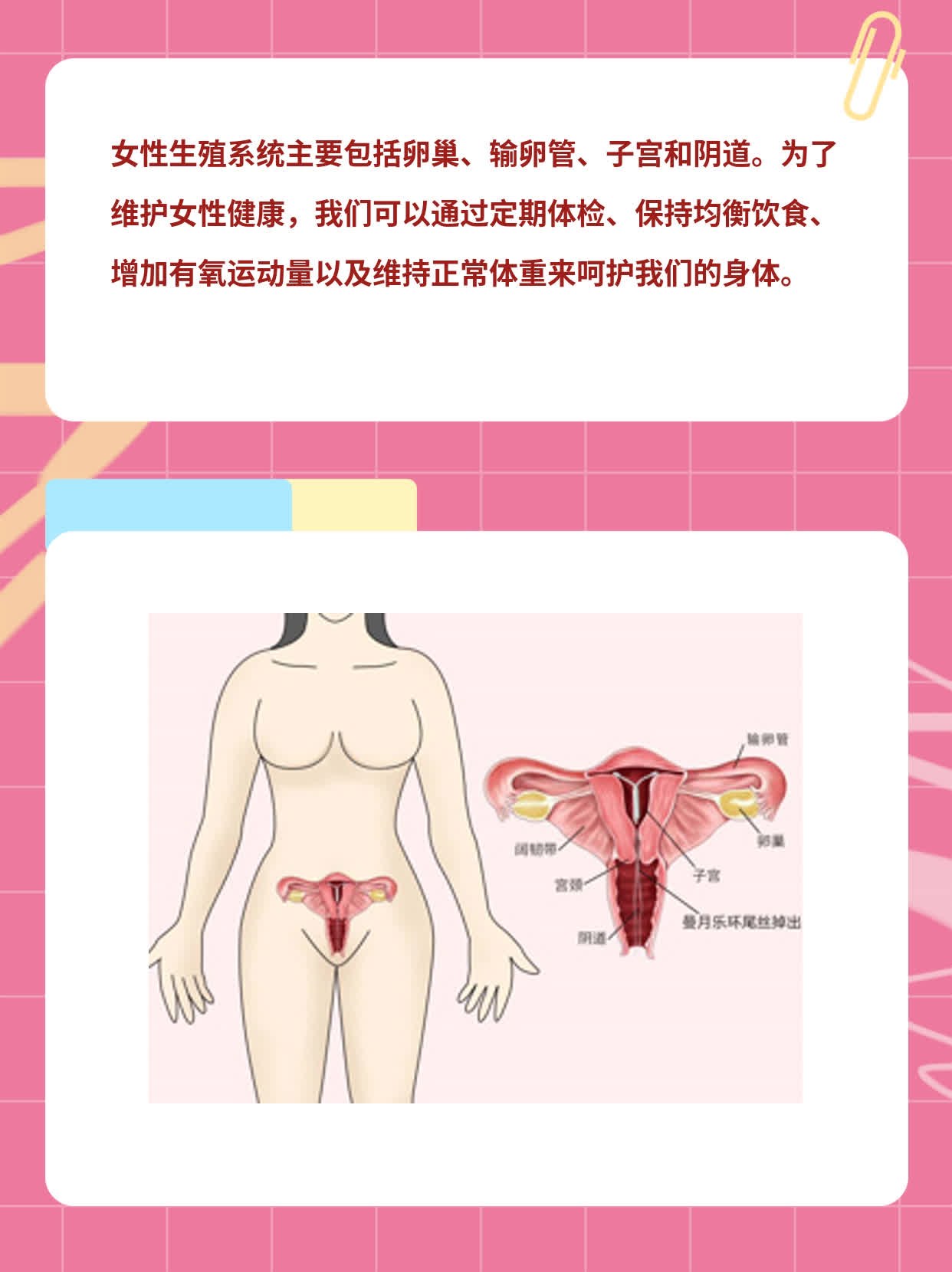 「女生内部揭秘」：探索女性生殖系统的奥秘！