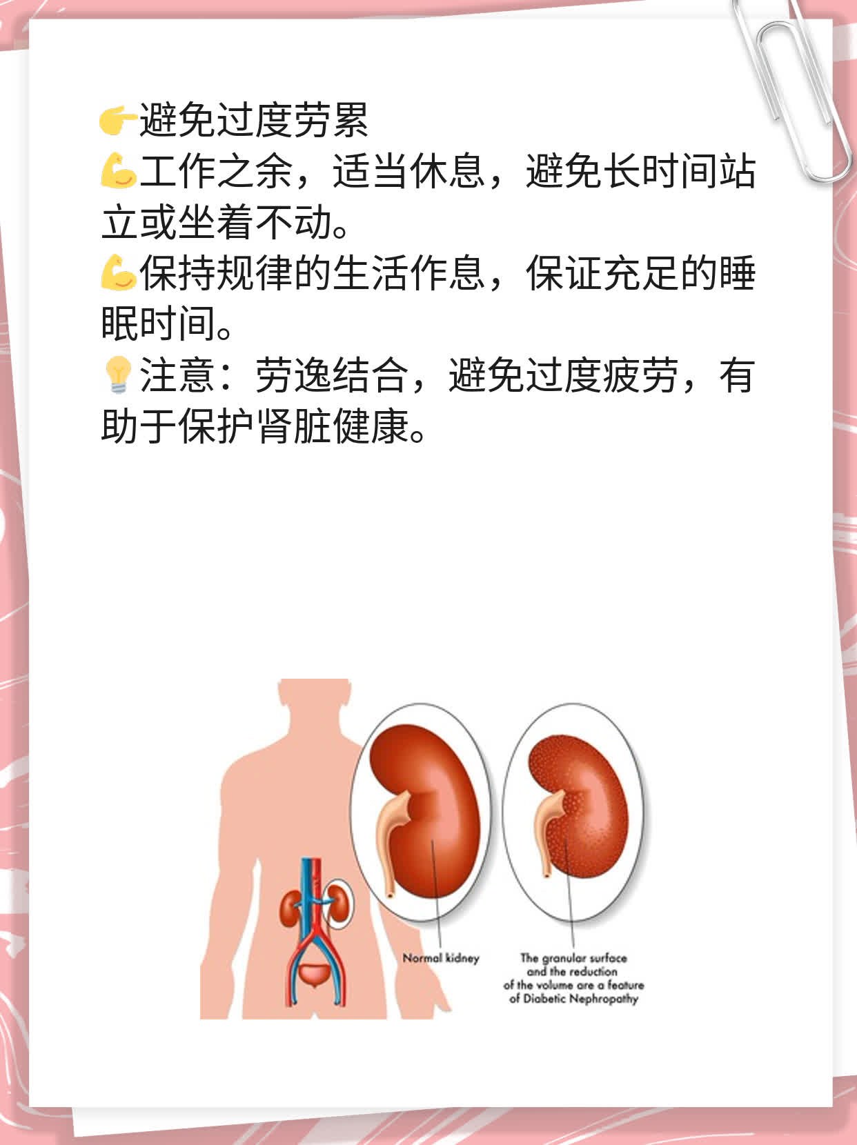 「区分肾阴虚&肾阳虚」：如何辨别自己的肾脏问题？