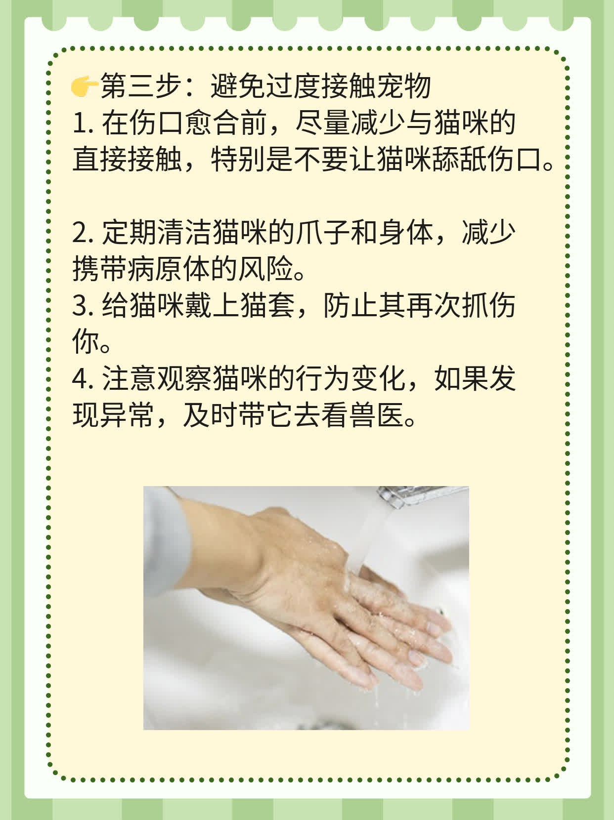 「被猫抓出血」了，打针有必要吗？
