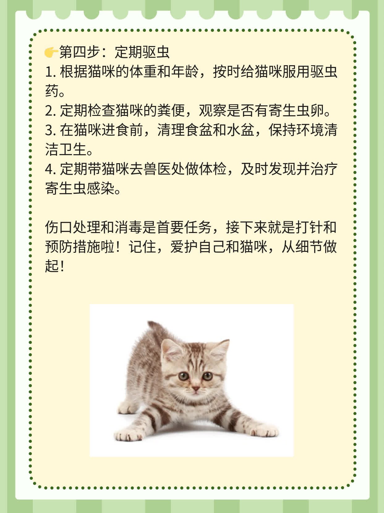 「被猫抓出血」了，打针有必要吗？